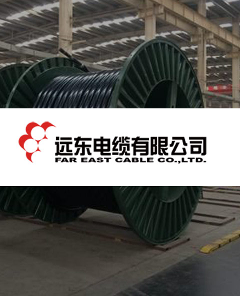 远东电缆物流解决方案><