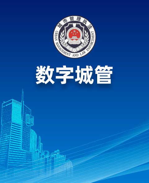 数字城管解决方案><
